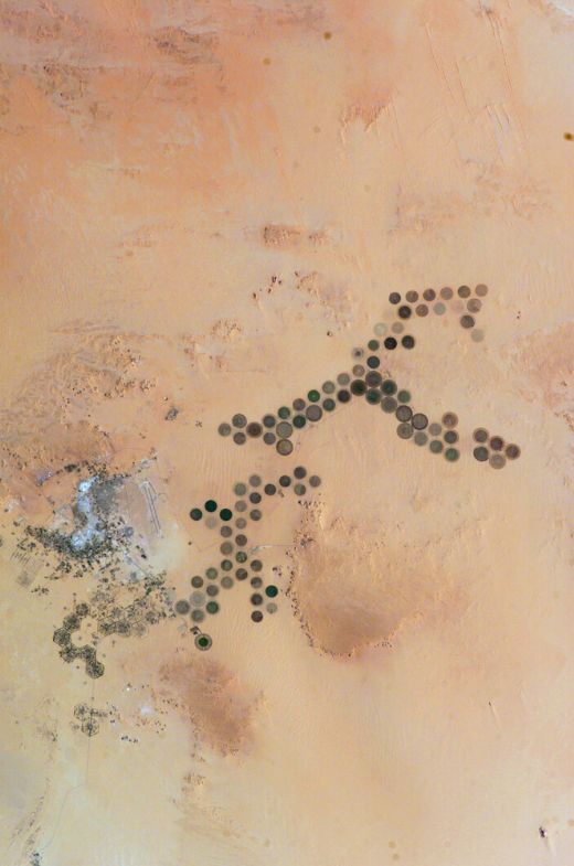 Kunstvanding i ørkenen nær Kufra. Irrigationsystems near Kufra