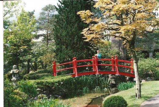En japansk inspireret have